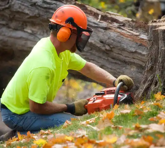 tree services Port Gibson